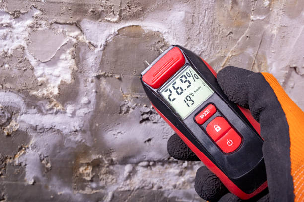 Best Black Mold Removal  in Lla Lla, WA