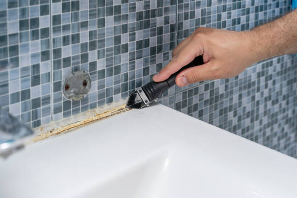 Best Office Mold Removal Services  in Lla Lla, WA