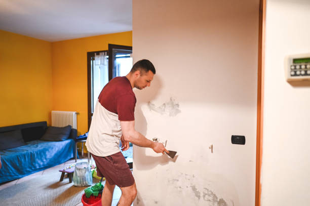 Best Mold Removal Company Near Me  in Lla Lla, WA