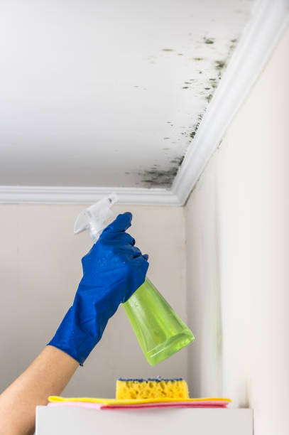 Best Crawl Space Mold Removal  in Lla Lla, WA